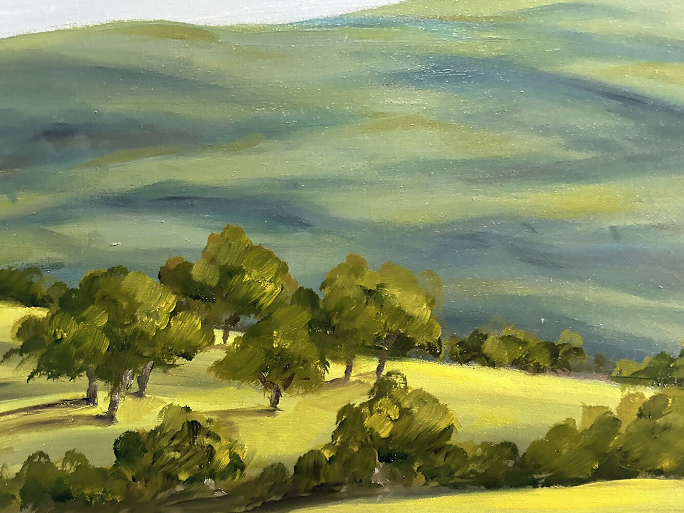 Kooroocheang in the Late Afternoon