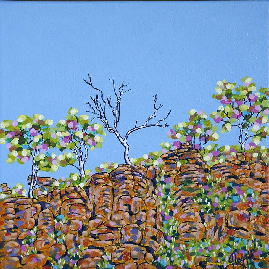 Outback Encore