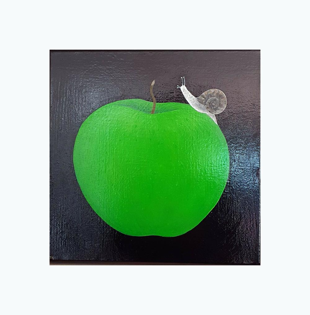 Of Apple & Snail