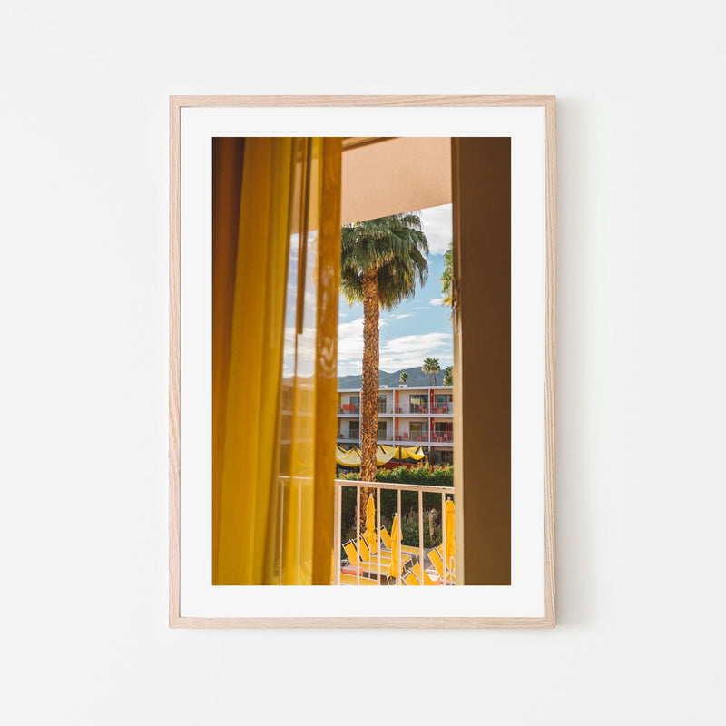 Palm Springs Dreams , By Bethany Young