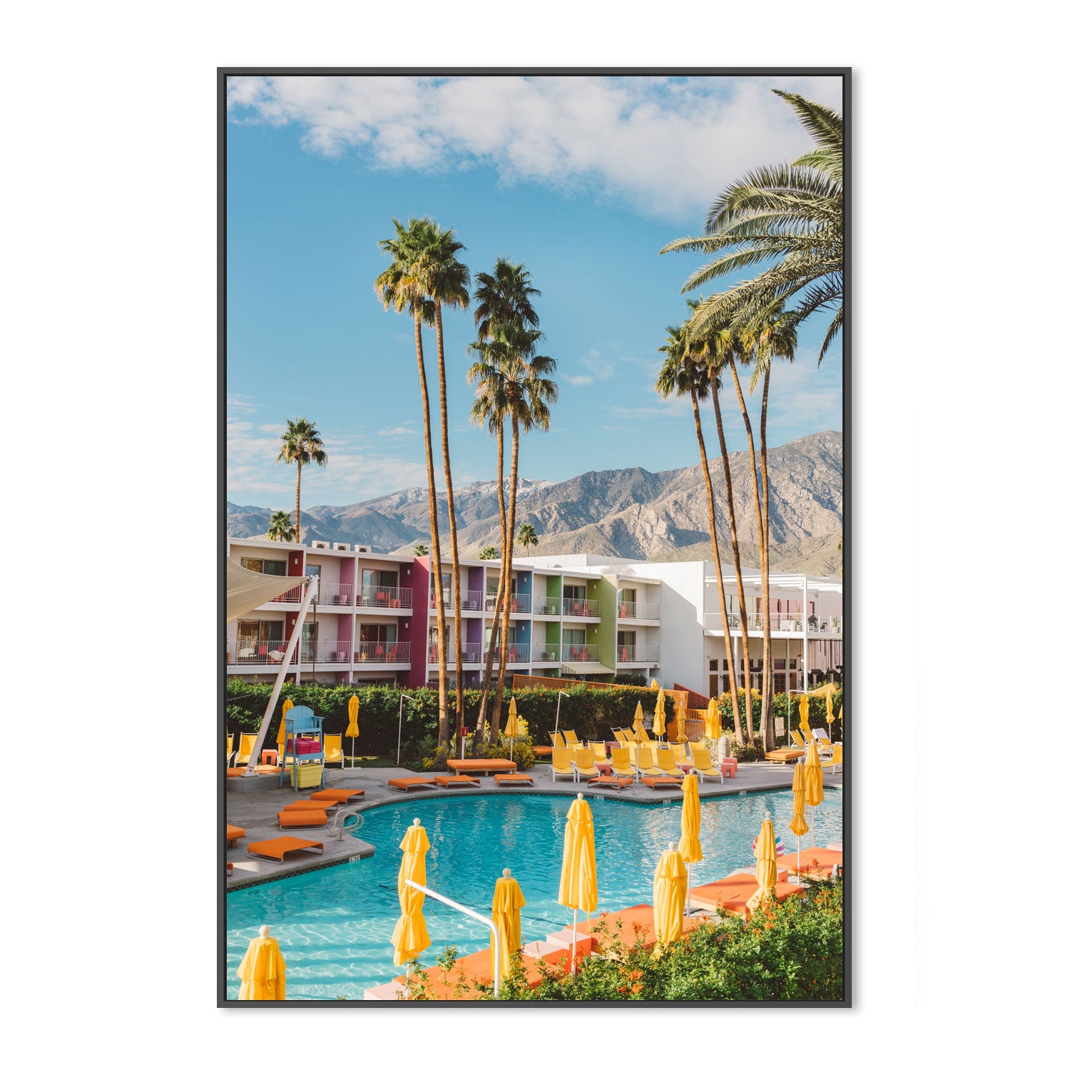 Palm Springs Saguaro
