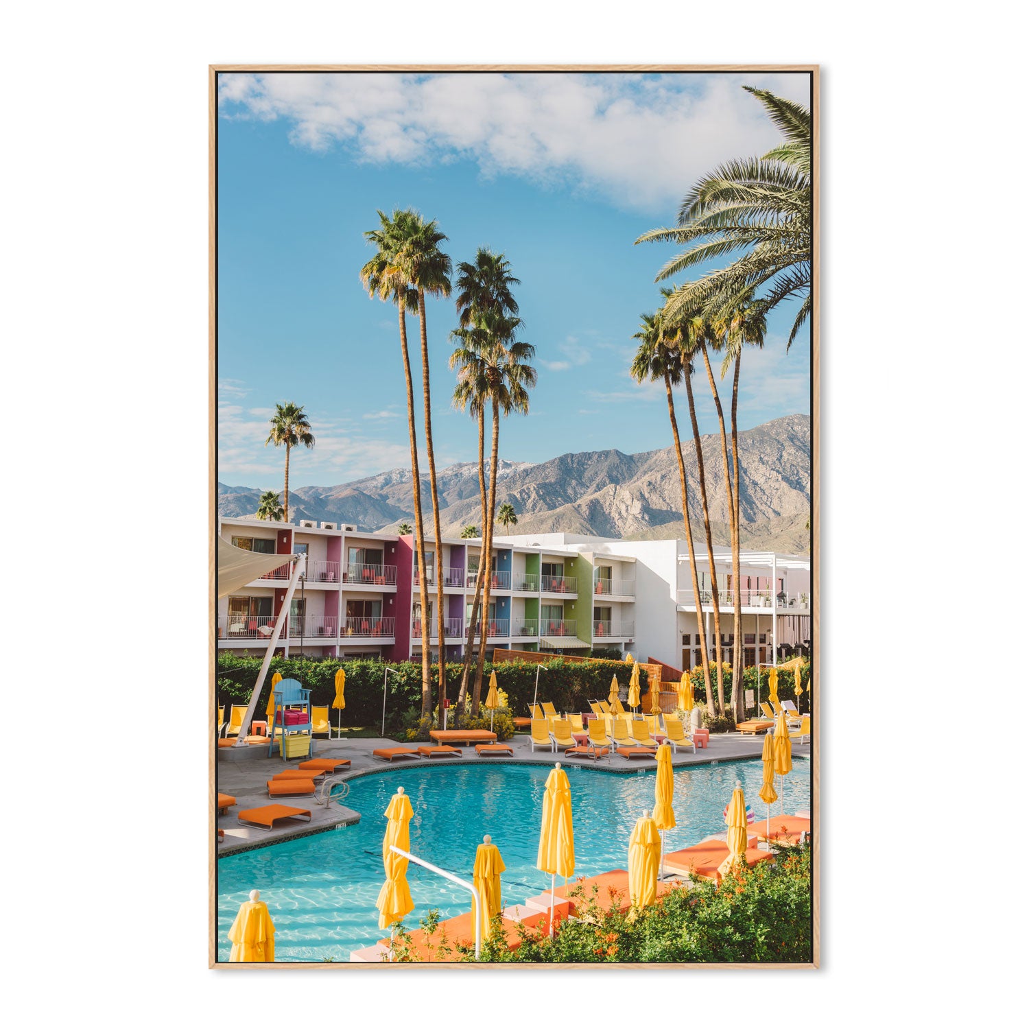 Palm Springs Saguaro
