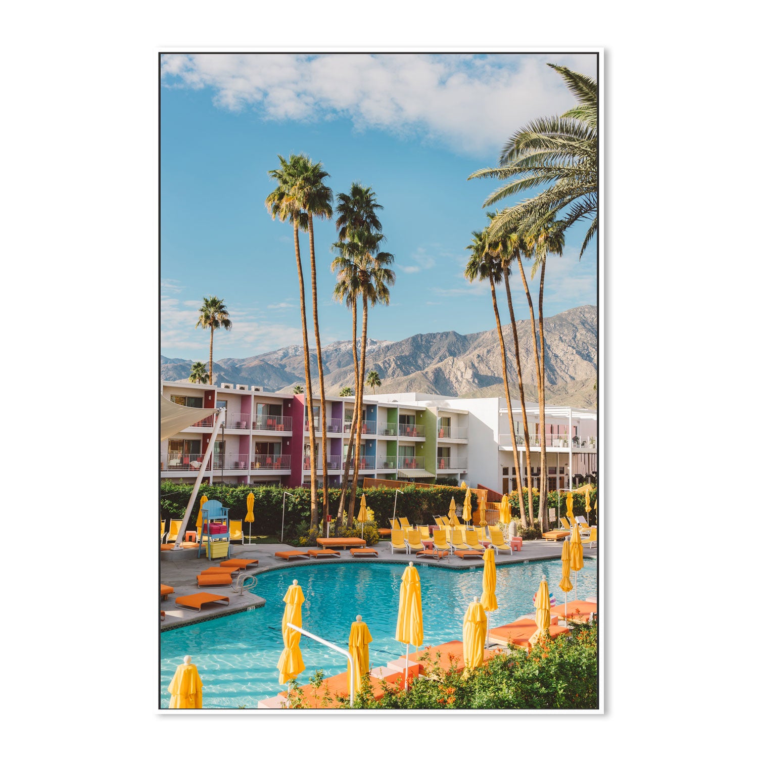 Palm Springs Saguaro
