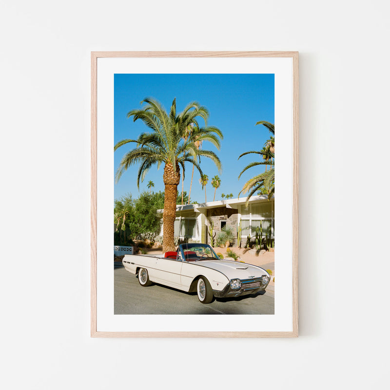 Palm Springs Thunderbird , By Bethany Young