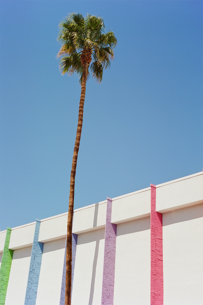 Palm Springs II
