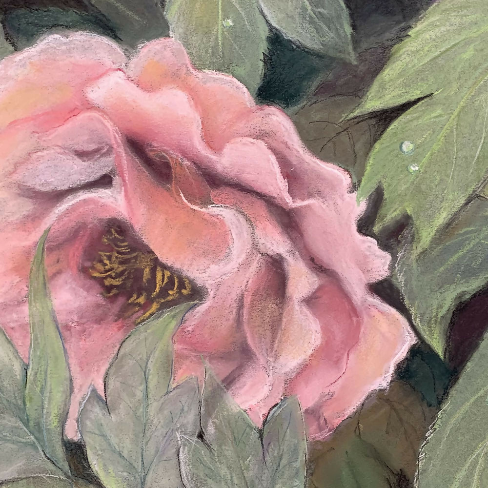 Peony-by-Pamela Gleeson-original art-Gioia