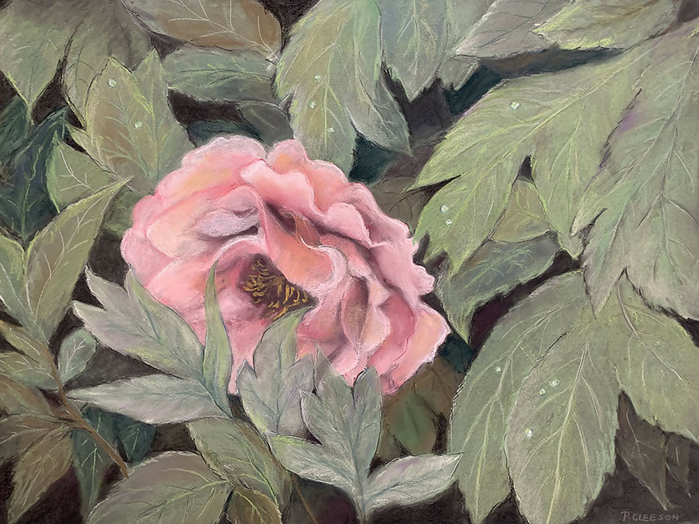 Peony-by-Pamela Gleeson-original art-Gioia