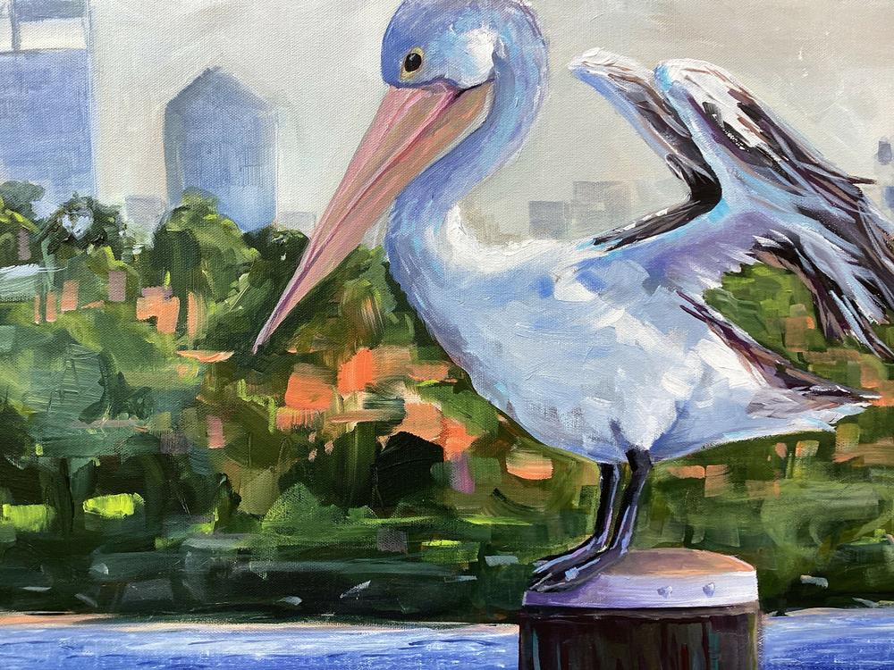 Perth Pelican-by-Claire Skeet-original art-Gioia