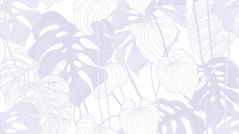 Philodendron Plant Wallpaper|Wallpaper self adhesive removable – Gioia
