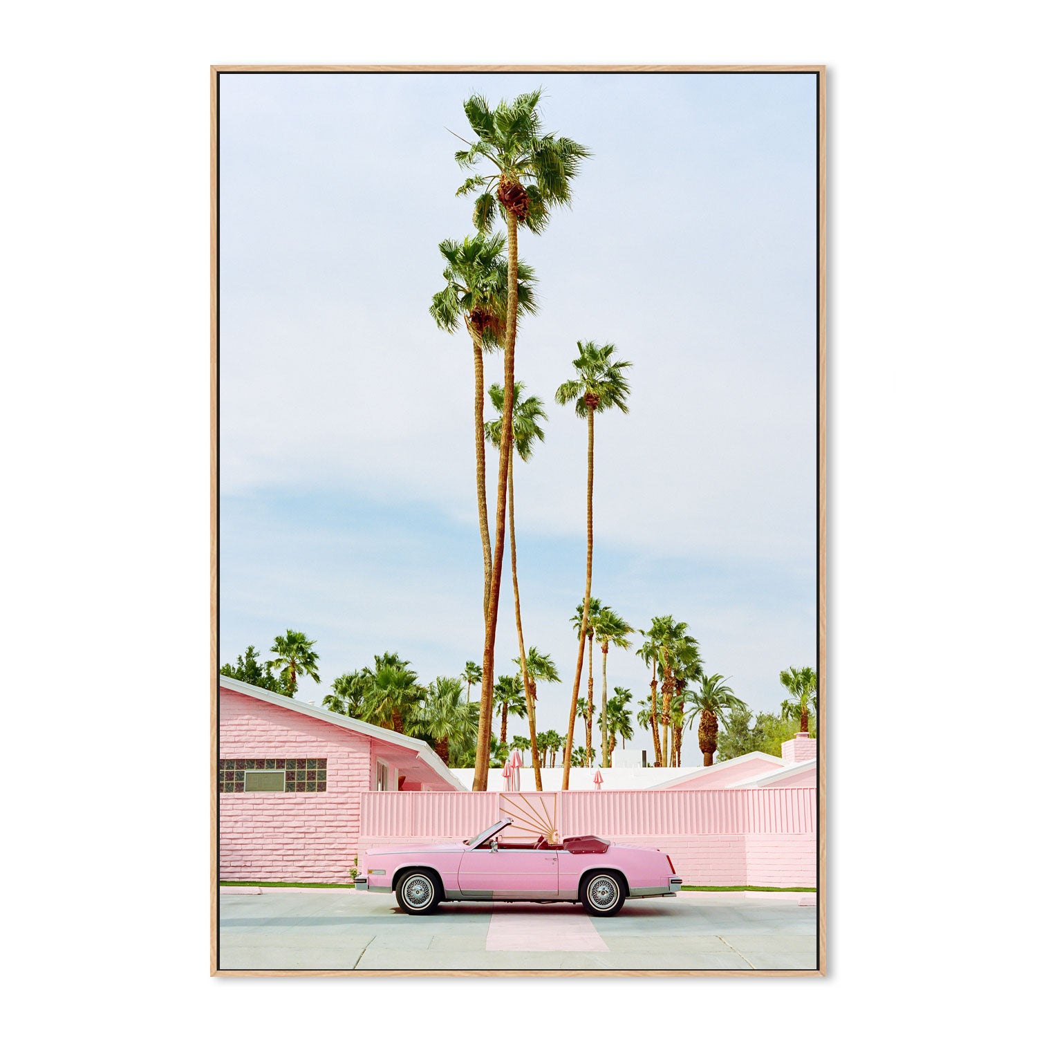 Pink Palm Springs