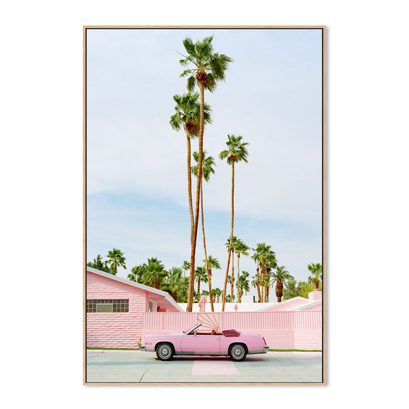 Pink Palm Springs , By Bethany Young