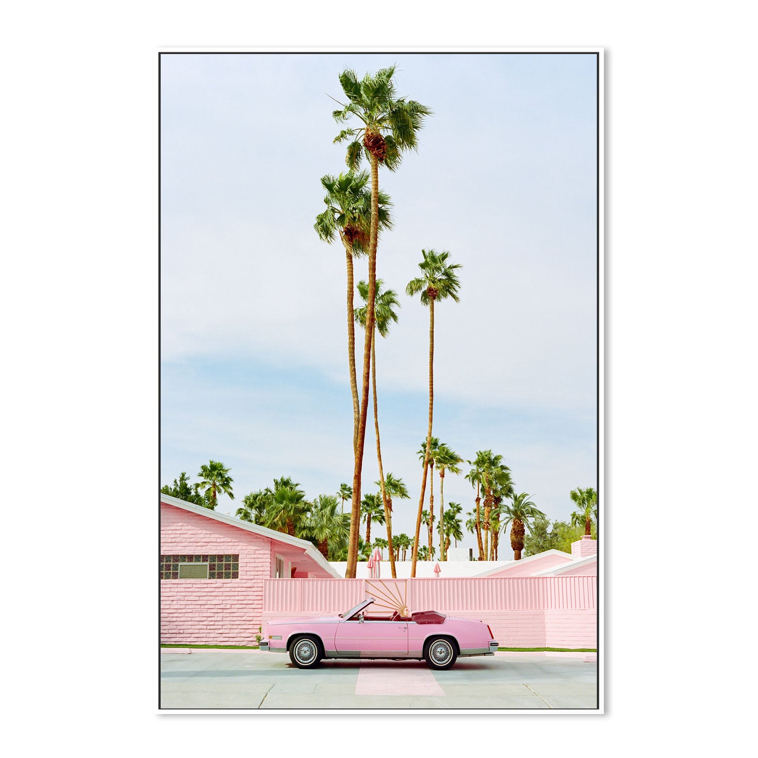 Pink Palm Springs