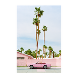 Pink Palm Springs , By Bethany Young