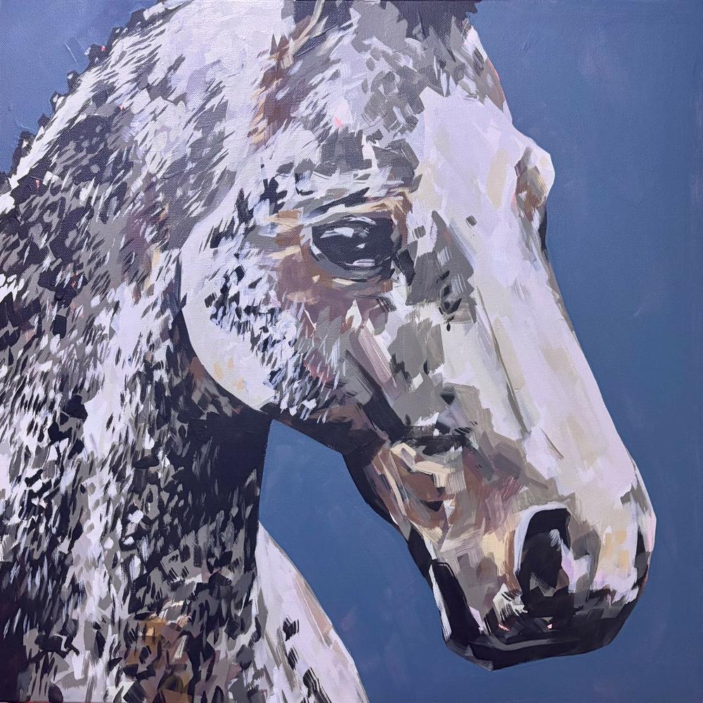 Pony-by-jake reston-original art-Gioia