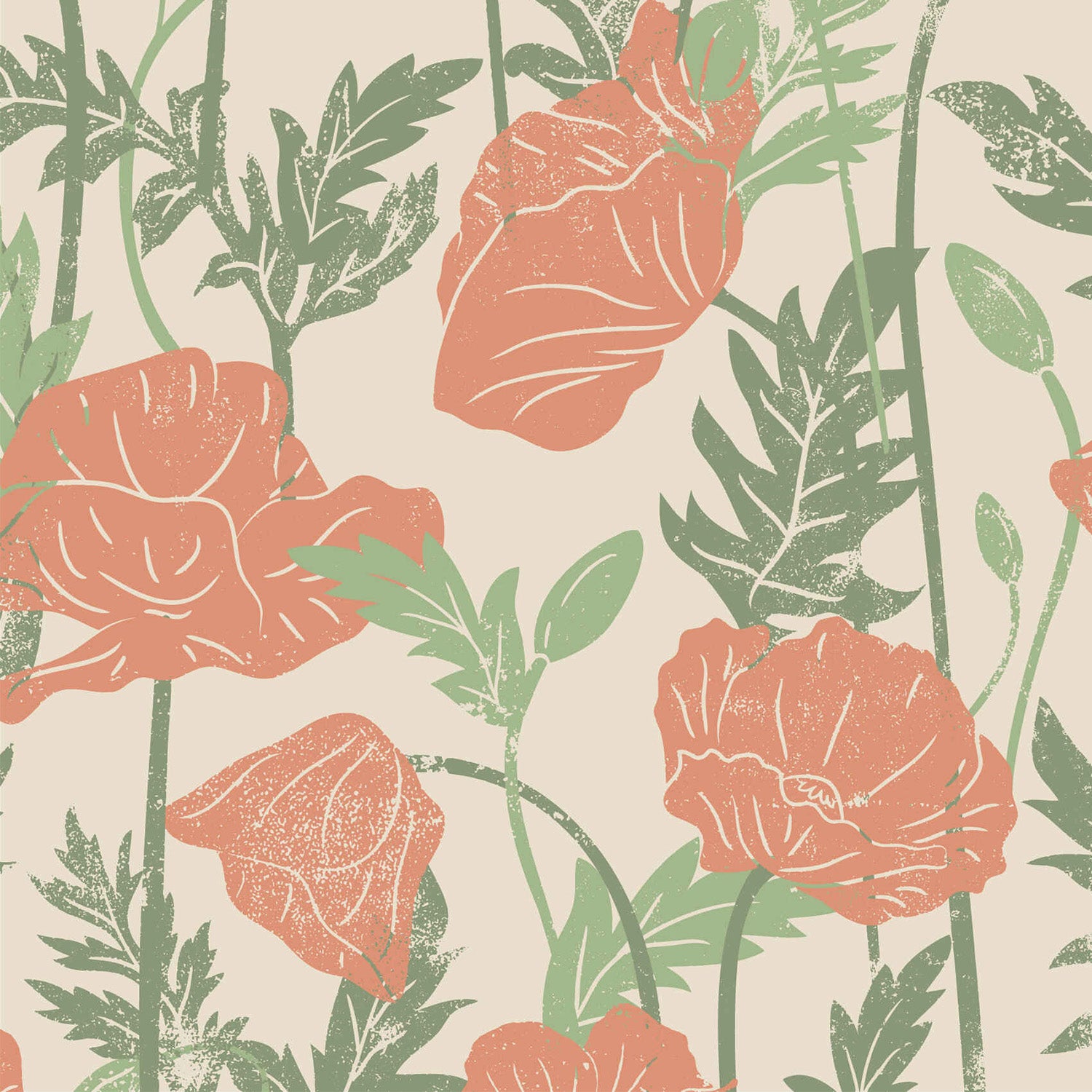 Poppies Rose