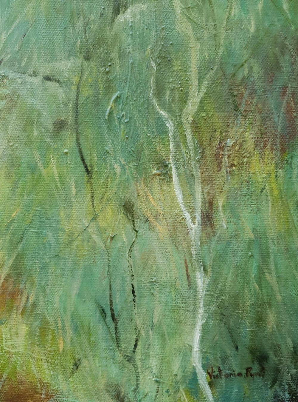 Beginnings