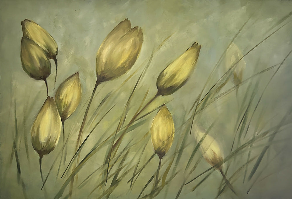 Wild Tulips