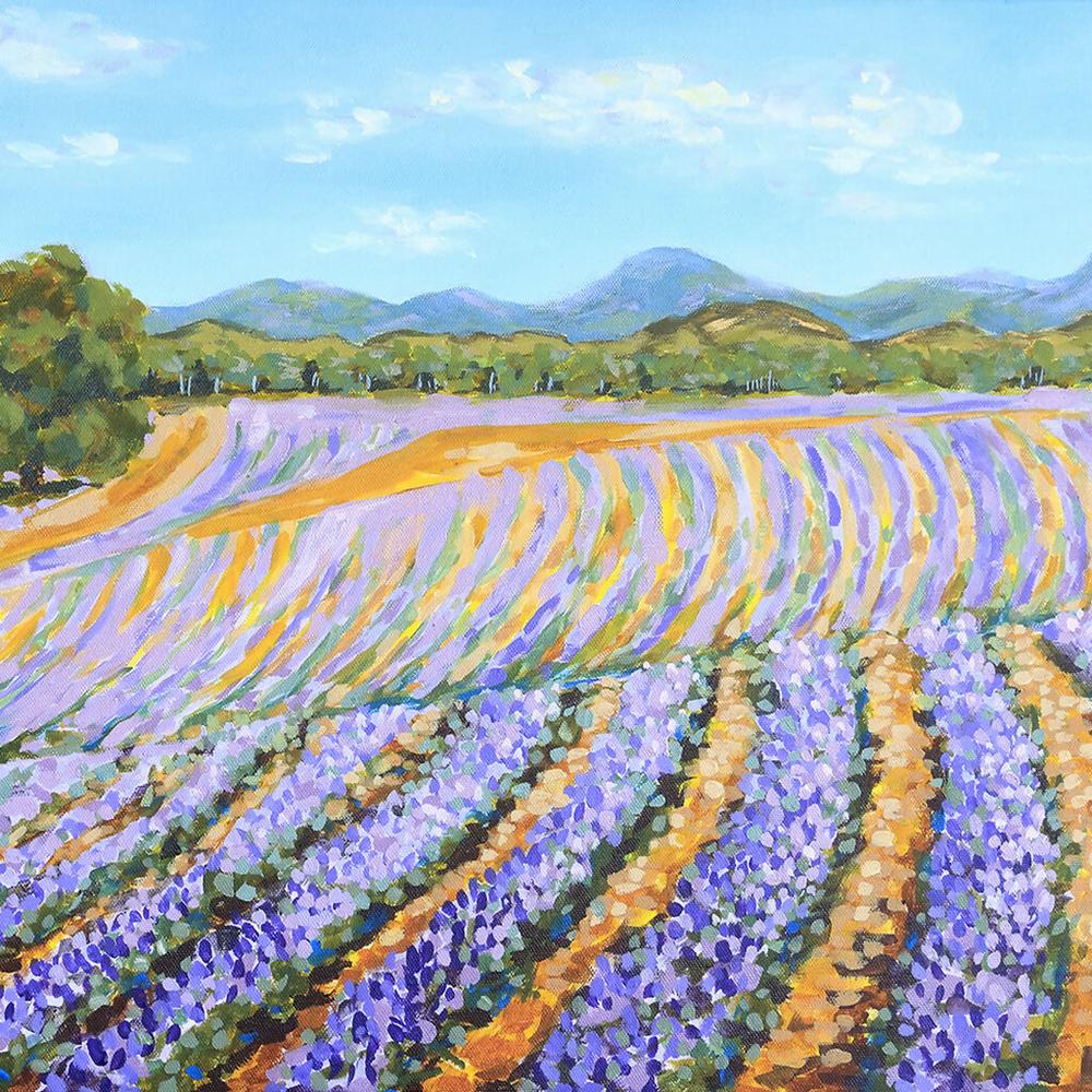 Lavender Pathways