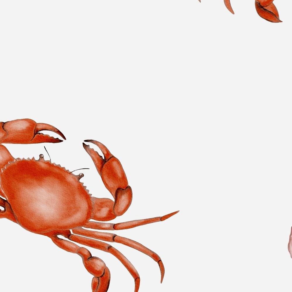 Red Crabs And Scallops-wallpaper-eco-friendly-easy-removal-Gioia Wall Art-3