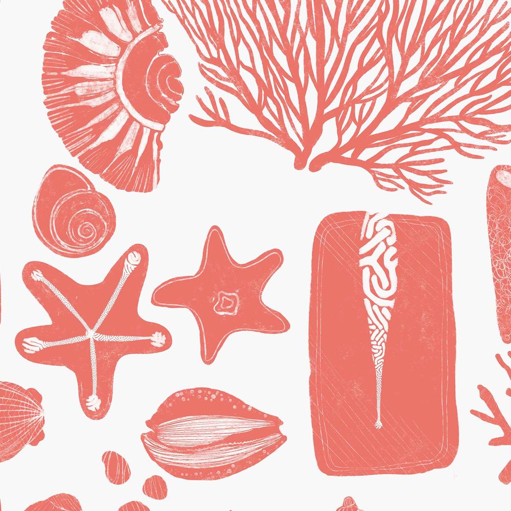 Reef Souvenirs, Coral-wallpaper-eco-friendly-easy-removal-Iryna Mushkarova-2