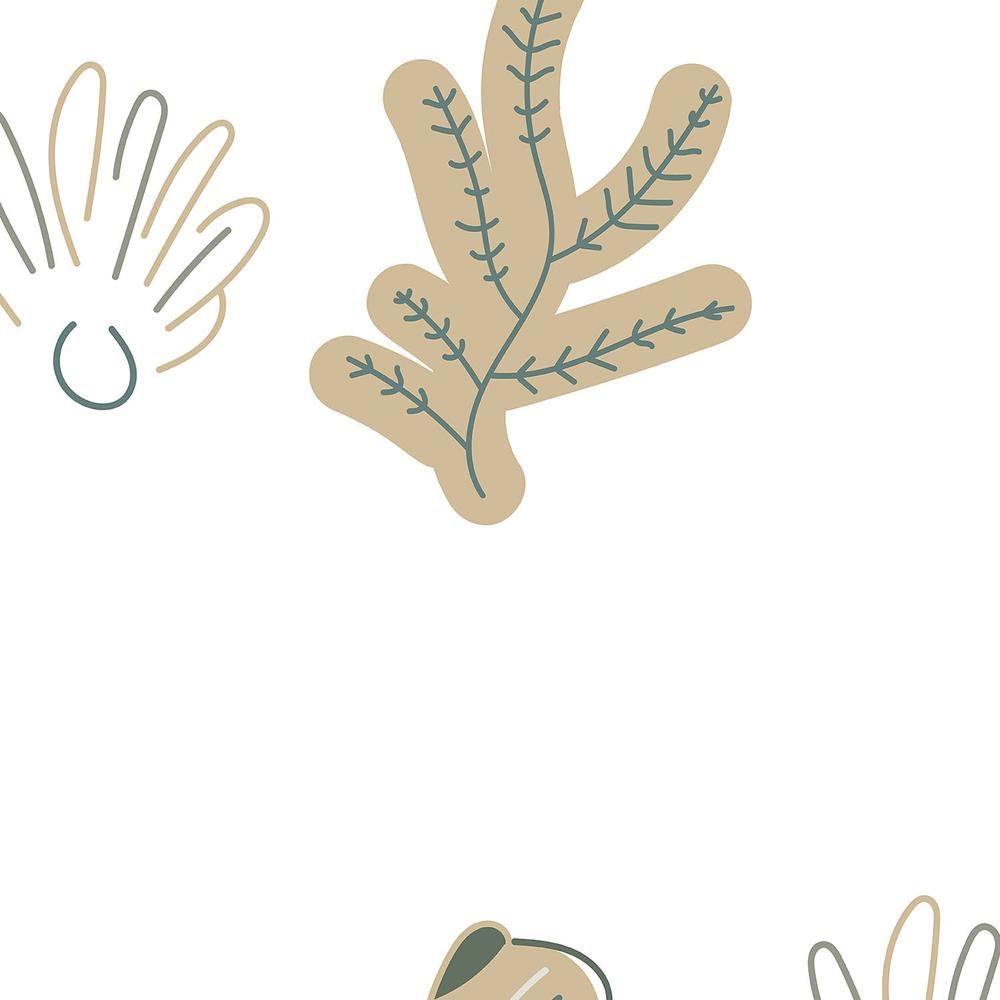 Sandy Shells And Corals-wallpaper-eco-friendly-easy-removal-Gioia Wall Art-4