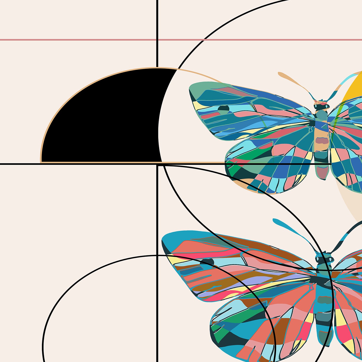 Colorful Geometric Butterflies