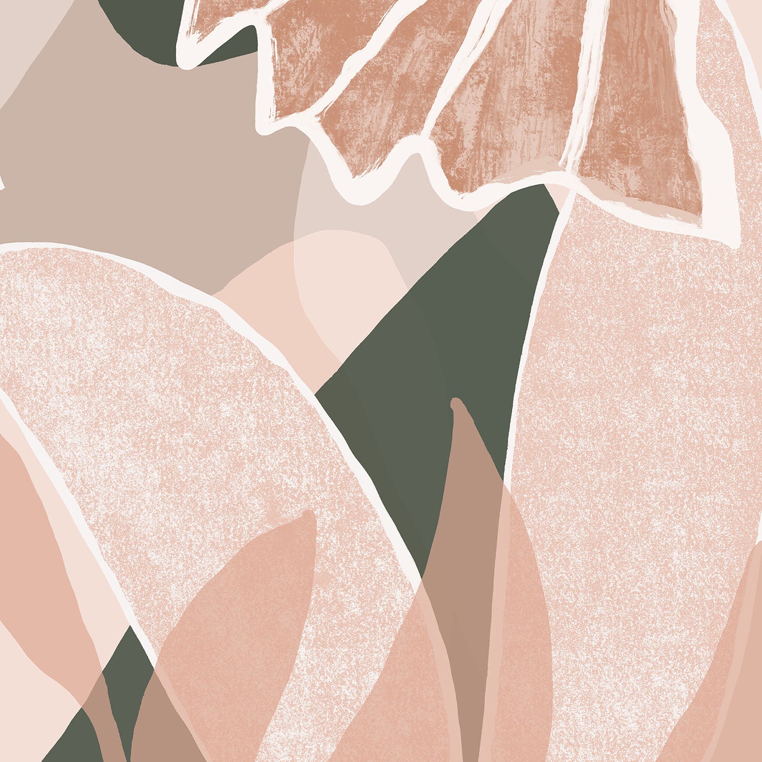 Blush And Bloom