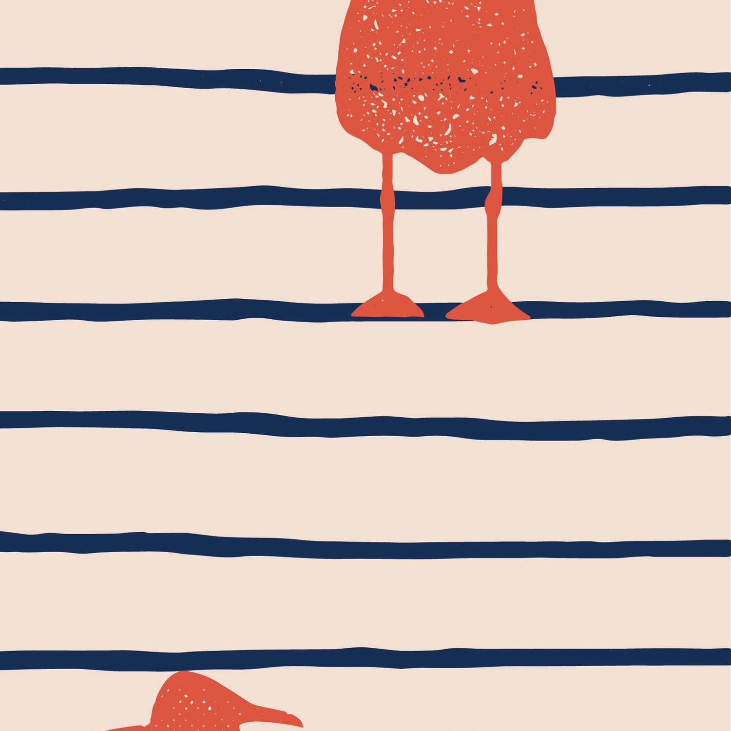 Seabirds Sunset
