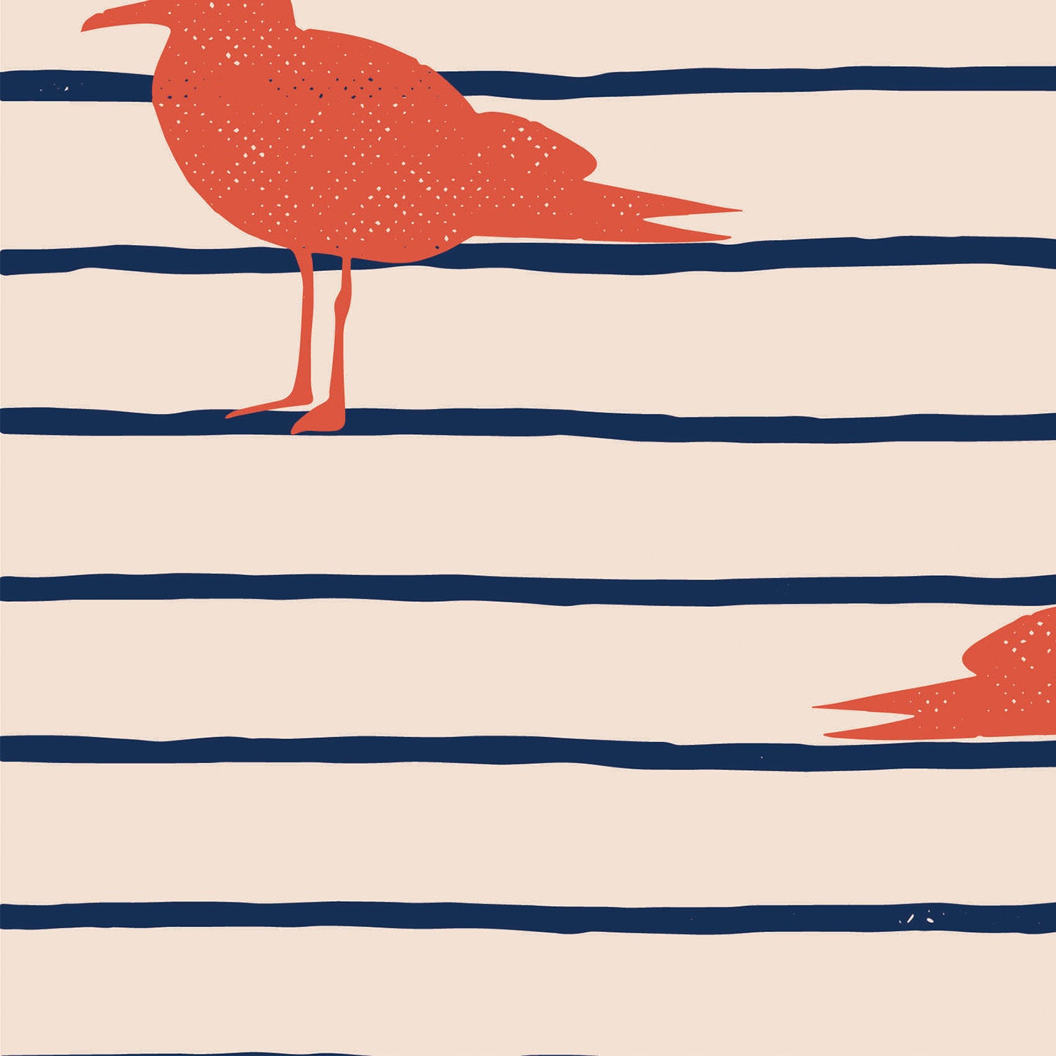 Seabirds Sunset