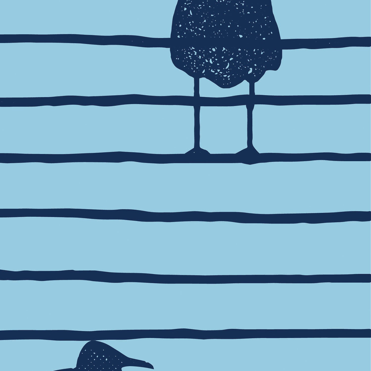 Seabirds Twilight