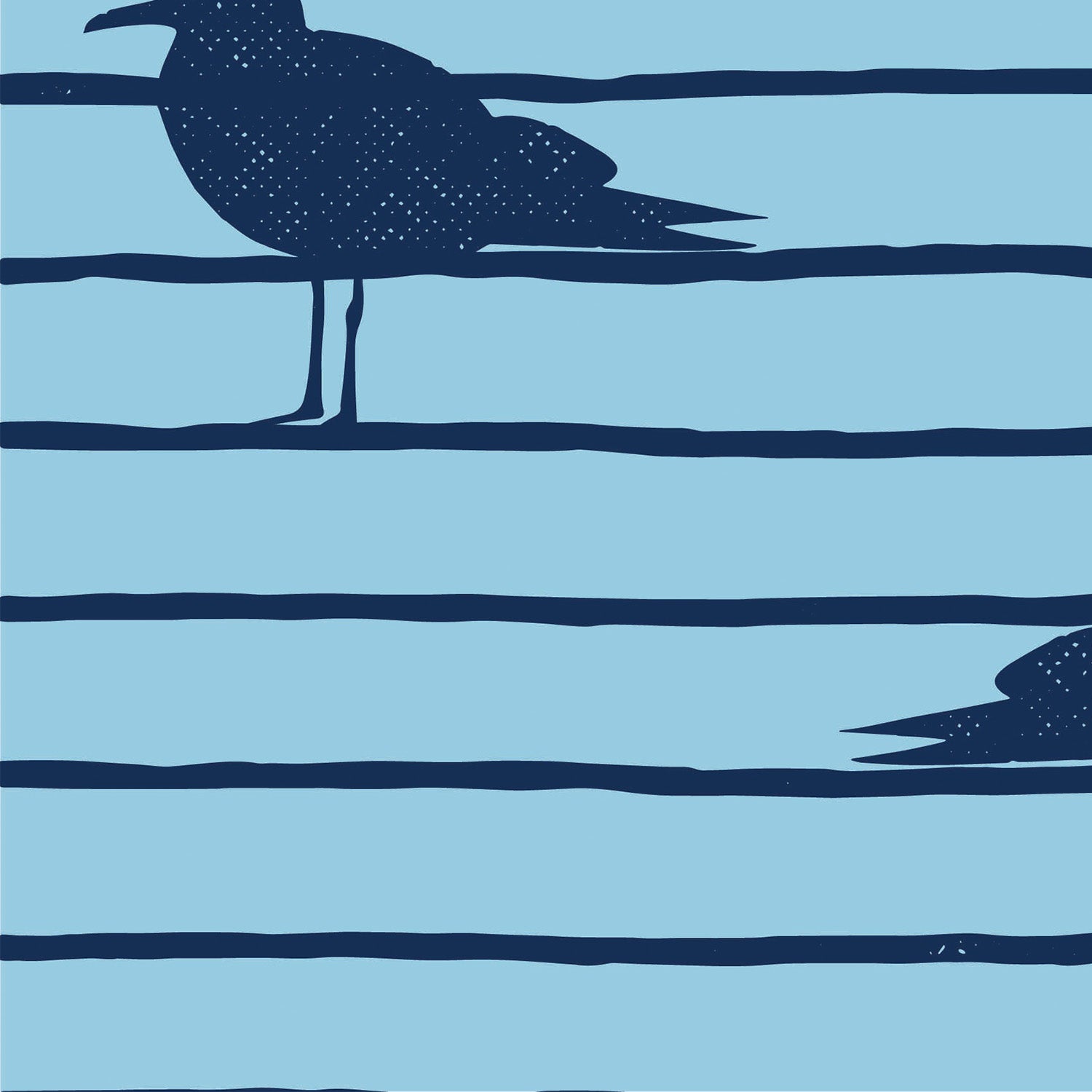 Seabirds Twilight