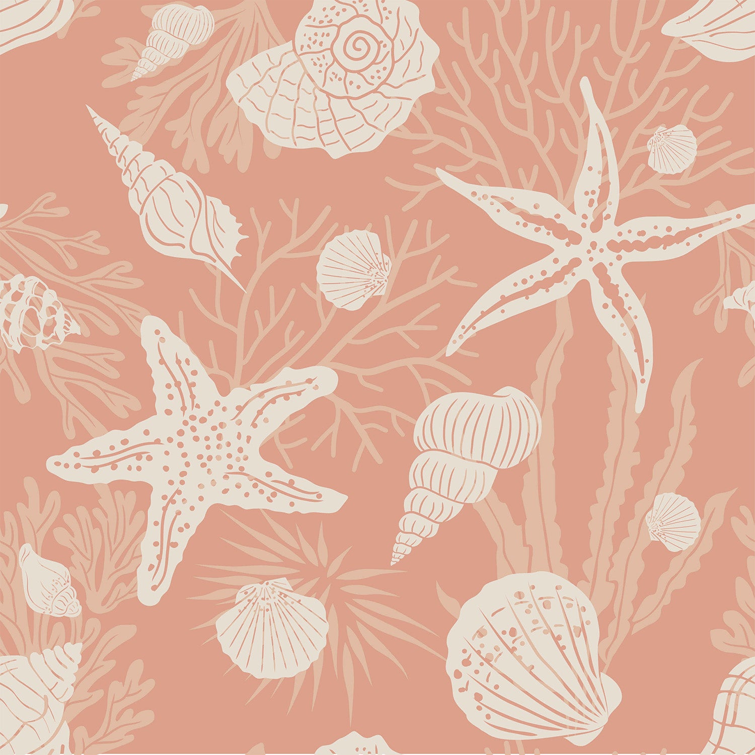 Shells Cantaloupe