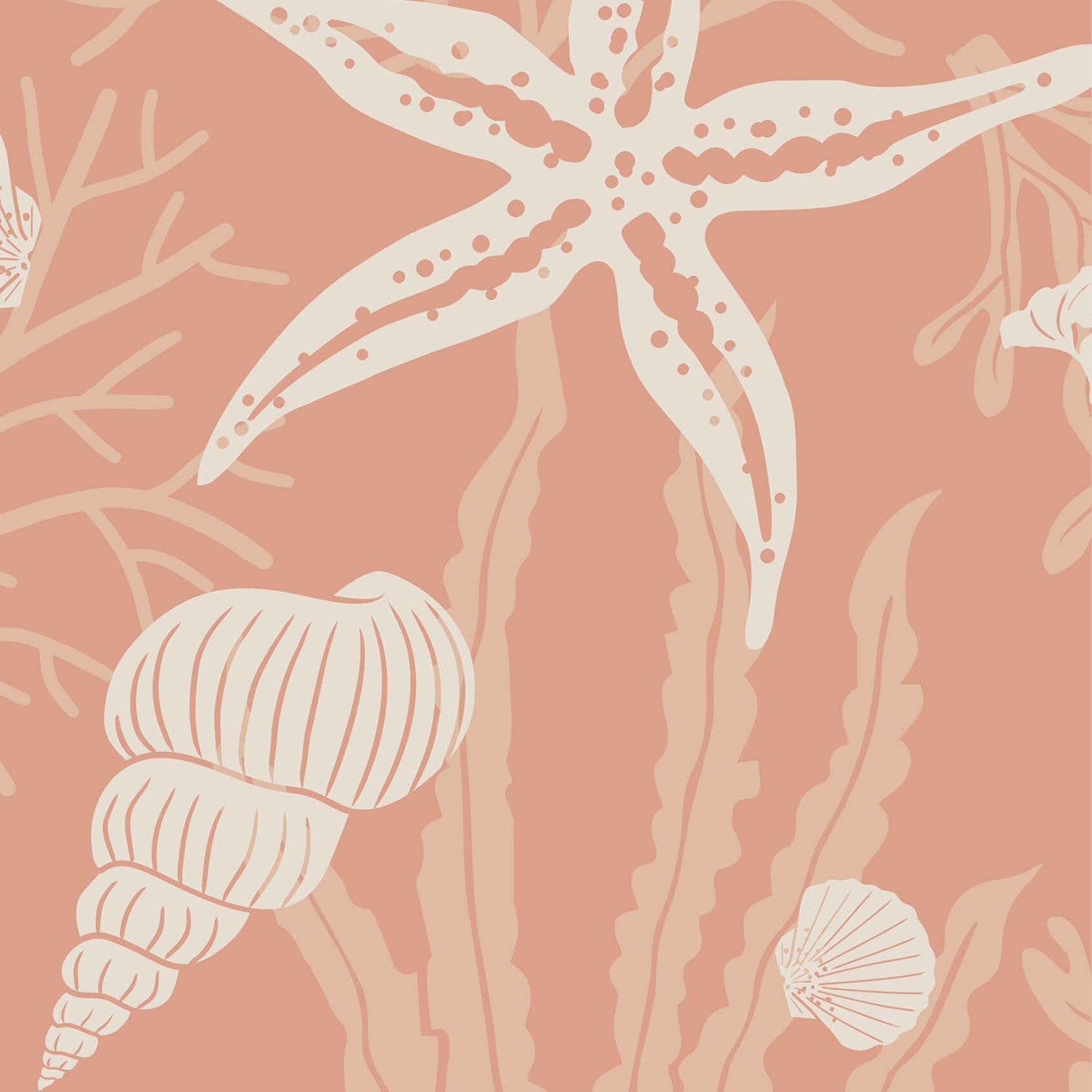 Shells Cantaloupe