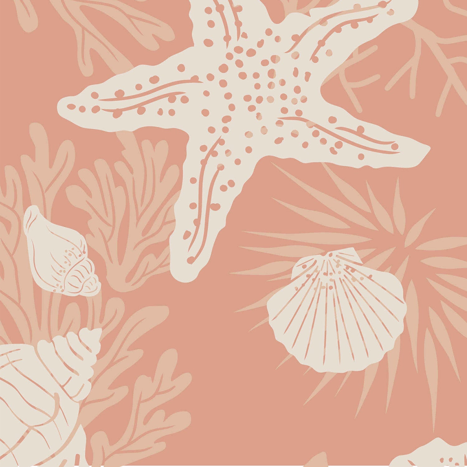 Shells Cantaloupe