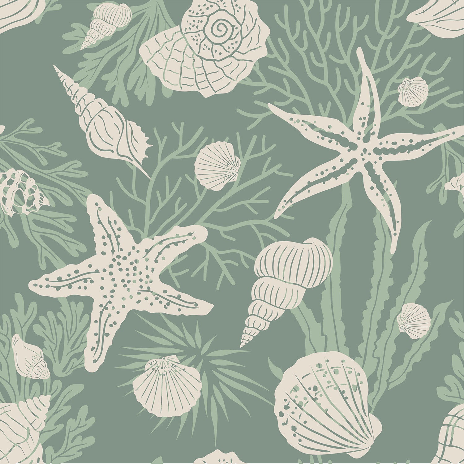 Shells Jade