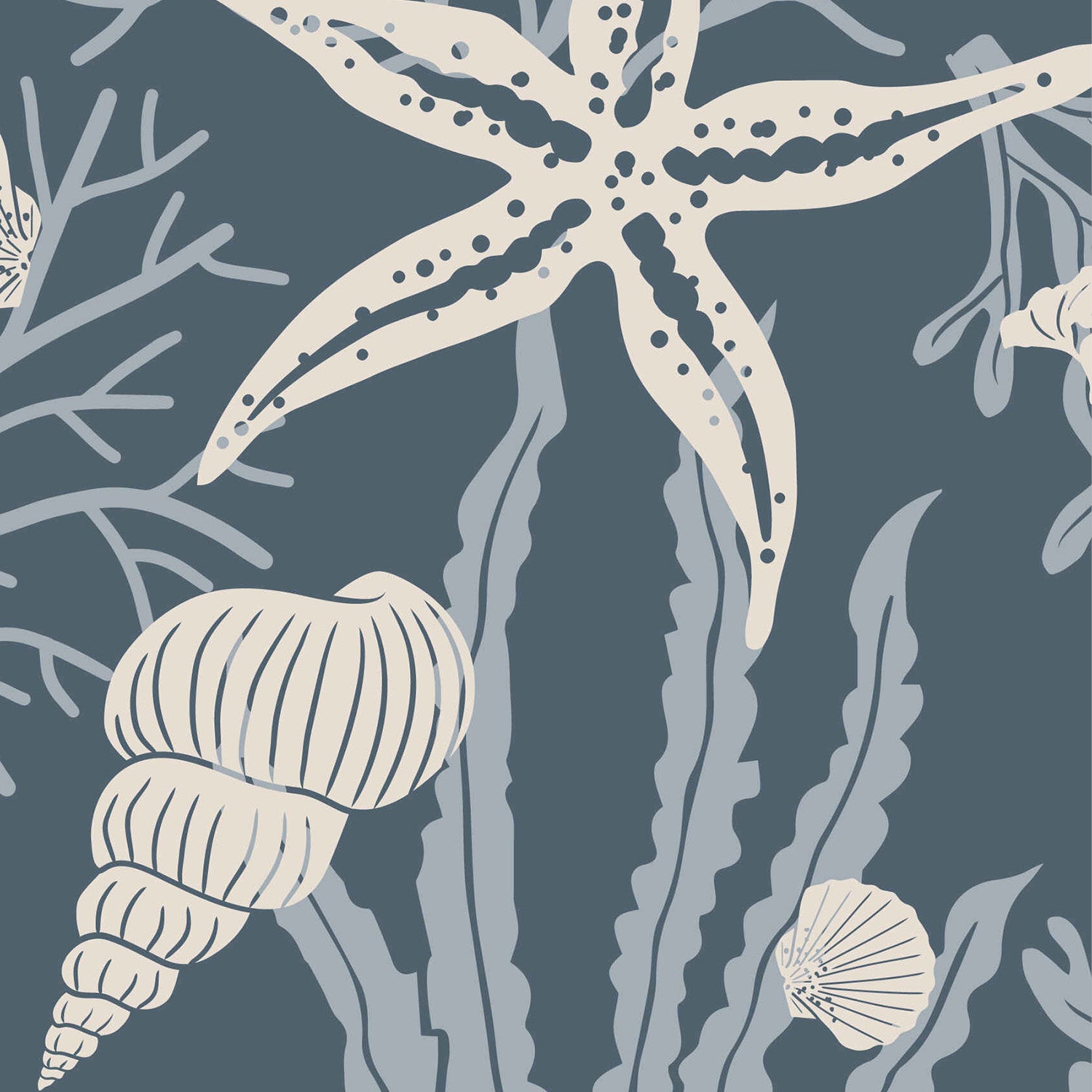 Shells Sapphire
