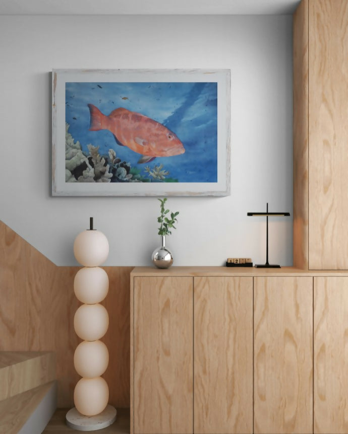 Coral Trout in the Deep Blue