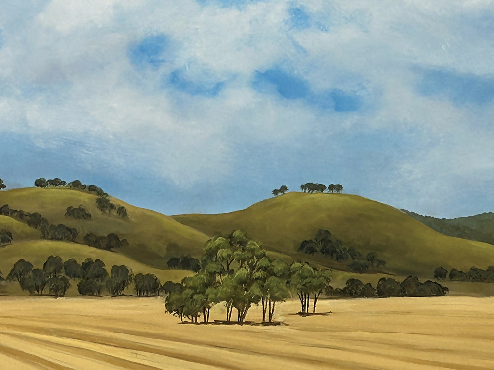 Somewhere South of Wagga-by-Pamela Gleeson-original art-Gioia
