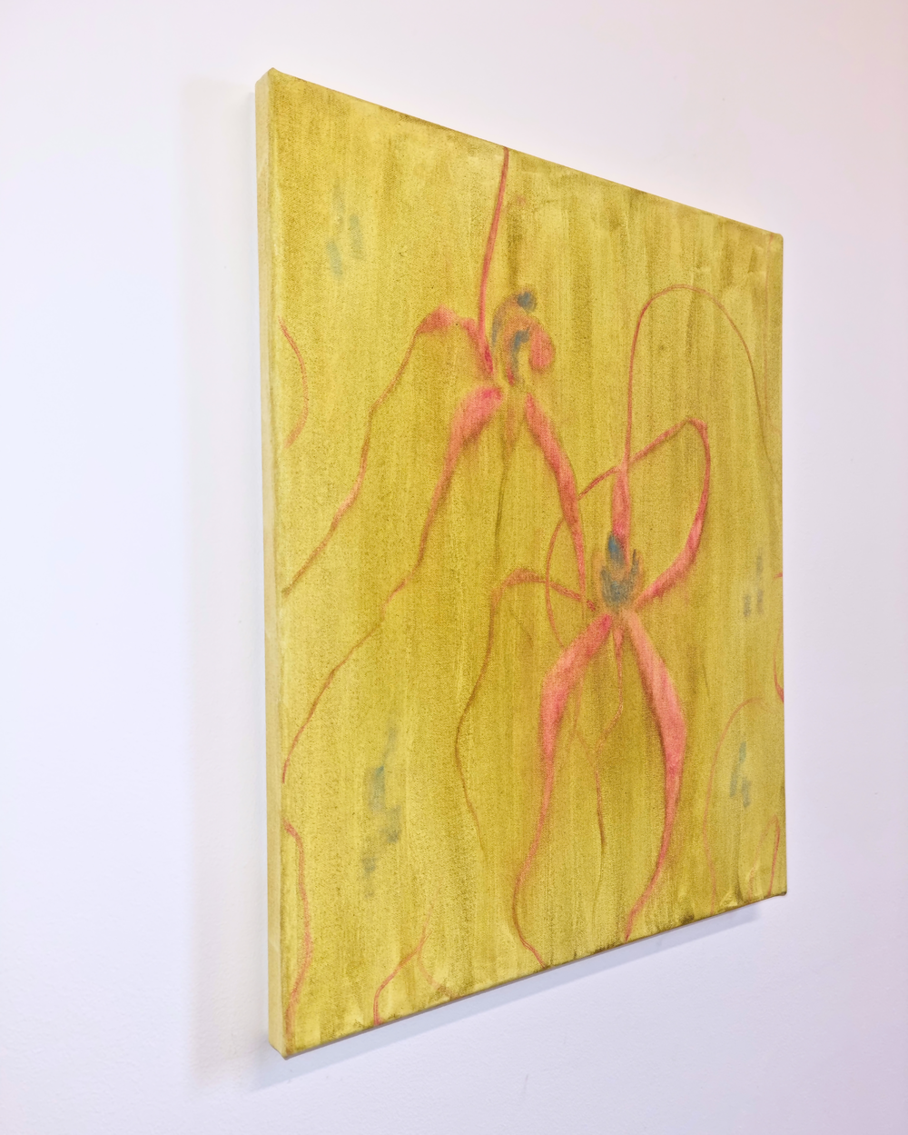 Spider Orchid 3-by-Nicole Clift-original art-Gioia