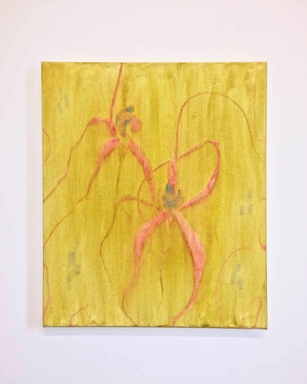 Spider Orchid 3-by-Nicole Clift-original art-Gioia