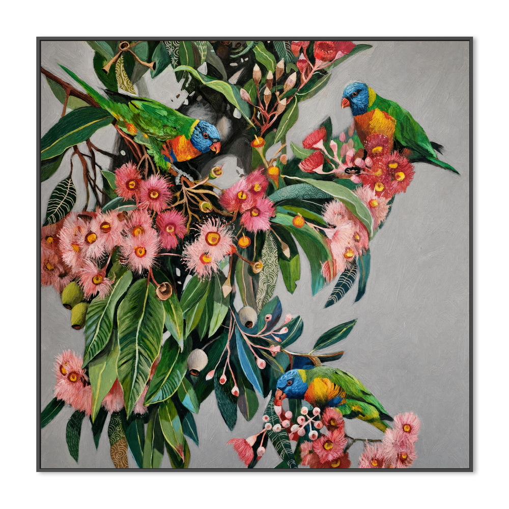 Rainbow Lorikeets with Gum Blossom