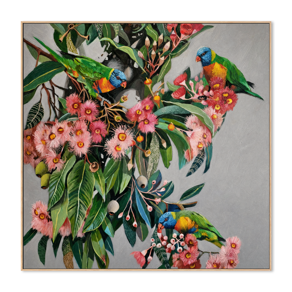 Rainbow Lorikeets with Gum Blossom