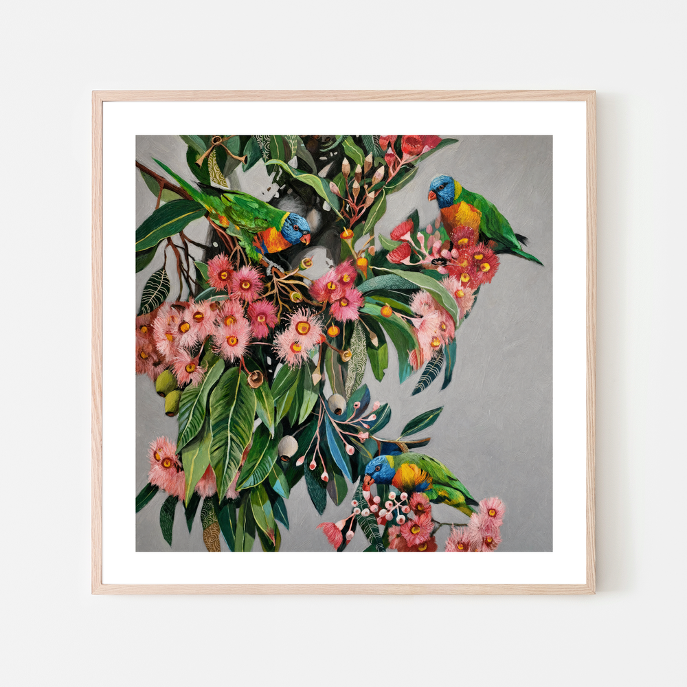 Rainbow Lorikeets with Gum Blossom