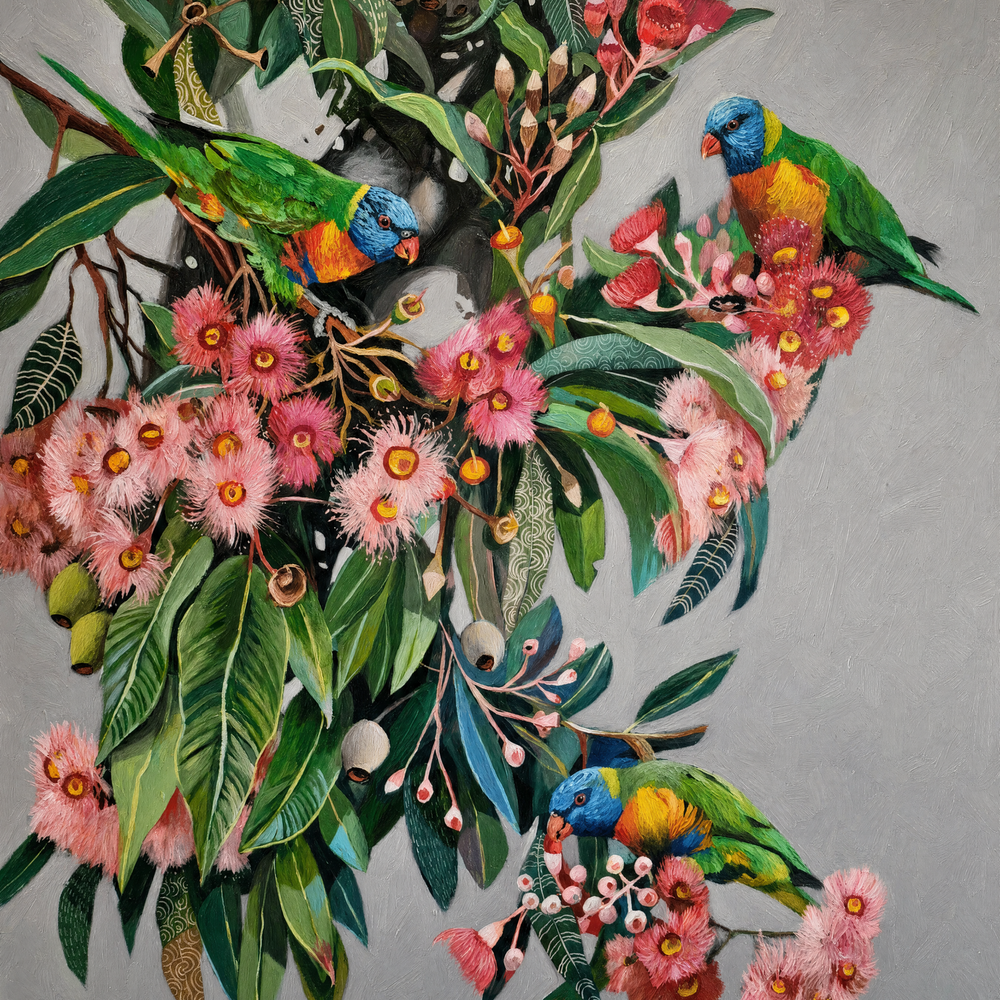 Rainbow Lorikeets with Gum Blossom