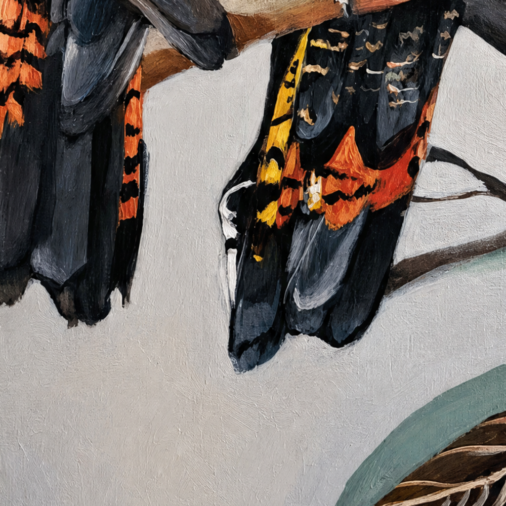 Black Cockatoos with Peach Gum Blossom