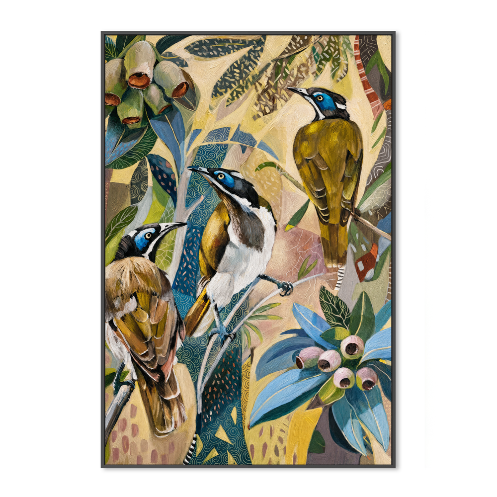 Blue Faced Honeyeaters with Gumnuts