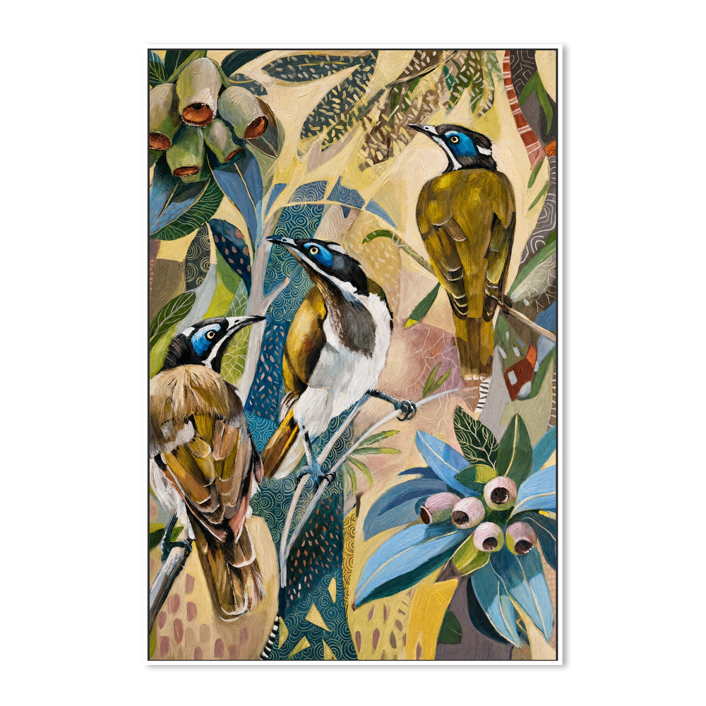 Blue Faced Honeyeaters with Gumnuts