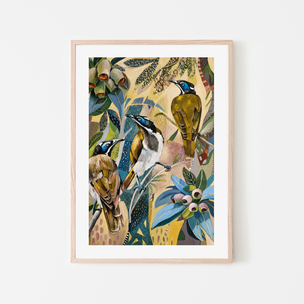 Blue Faced Honeyeaters with Gumnuts