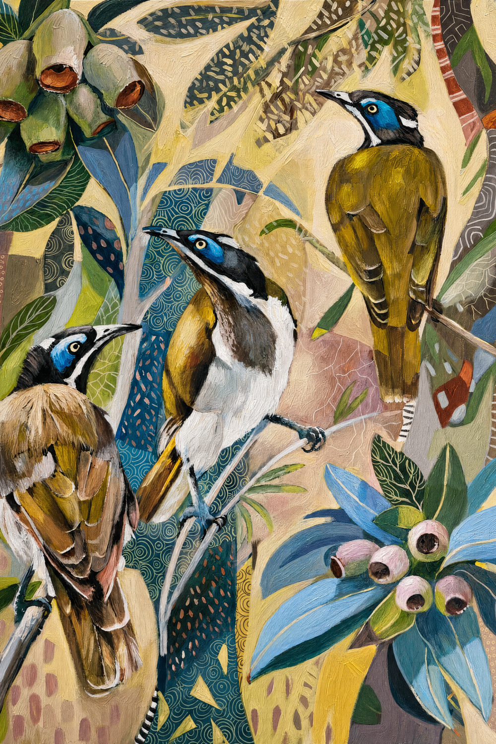 Blue Faced Honeyeaters with Gumnuts