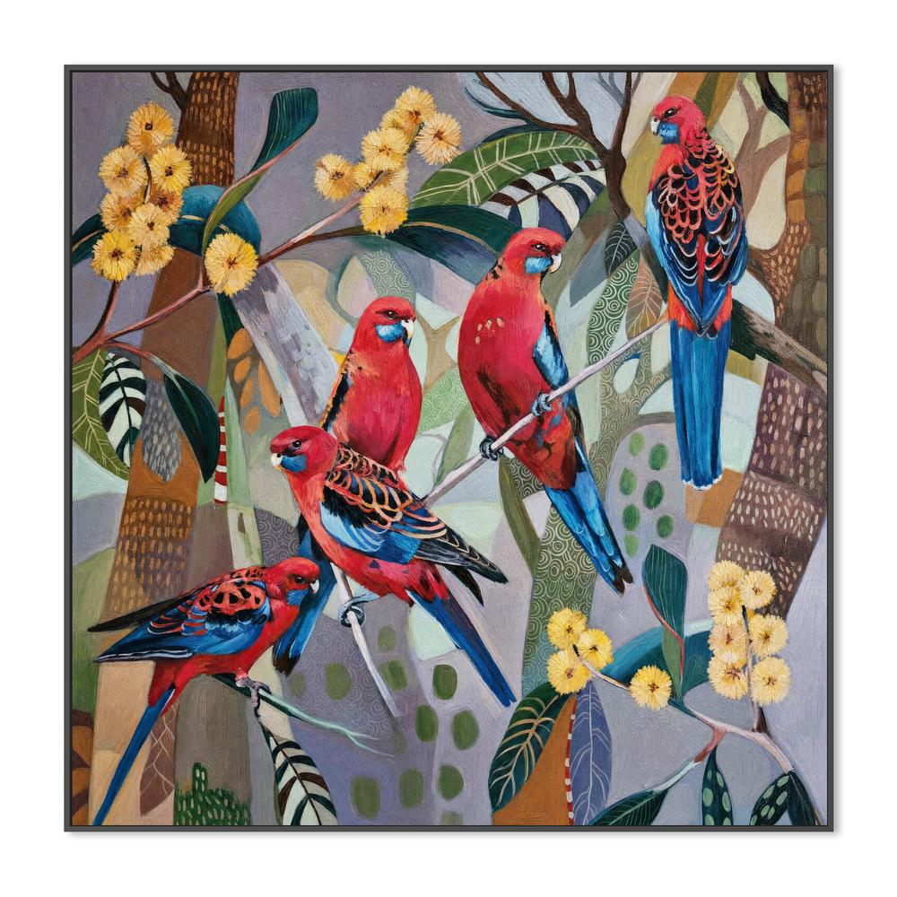Crimson Rosellas with Wattle